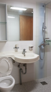 the picture displays the bathrooom in the studio optimized  for a single person.